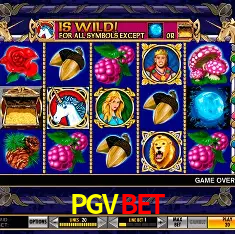 Descubra a Essência do PGVBET: Nossa História e Compromissos